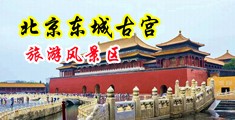 小骚逼视频免费下载观看中国北京-东城古宫旅游风景区